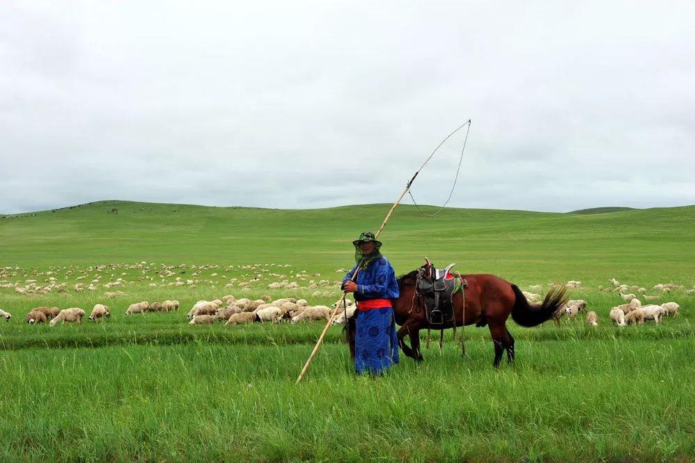 内蒙古,历史长河中的文化与社会变迁纪略
