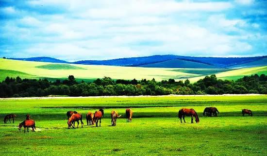 内蒙古,历史长河中的文化与社会变迁纪略