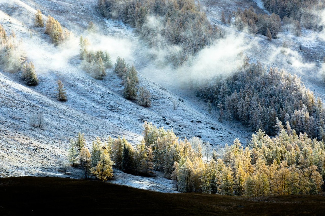 新疆,多元文化交融的璀璨明珠