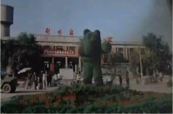 衡水之声,播音稿里的衡水印象