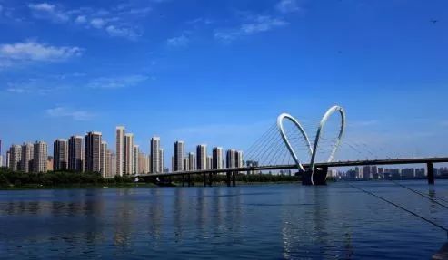 沈阳盛会,嘉宾云集,观众热情如火